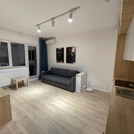 Amethyst Luxury Apartment Palace Bucarest Esterno foto